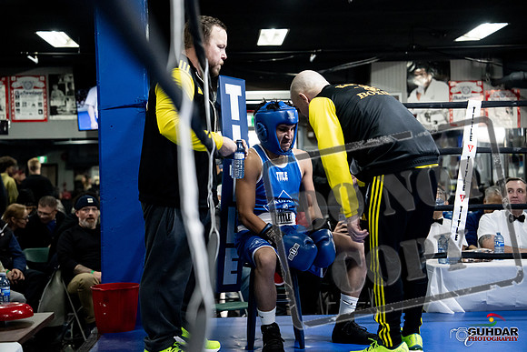 Cougar Boxing -0407