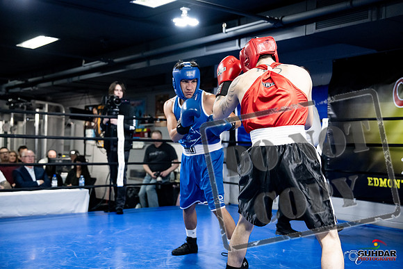 Cougar Boxing -0408