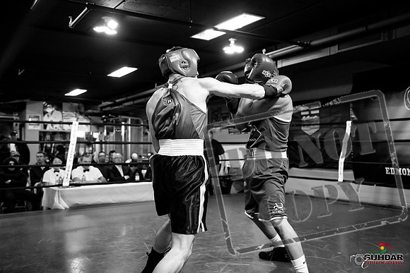 Cougar Boxing -0409