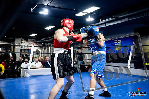 Cougar Boxing -0410