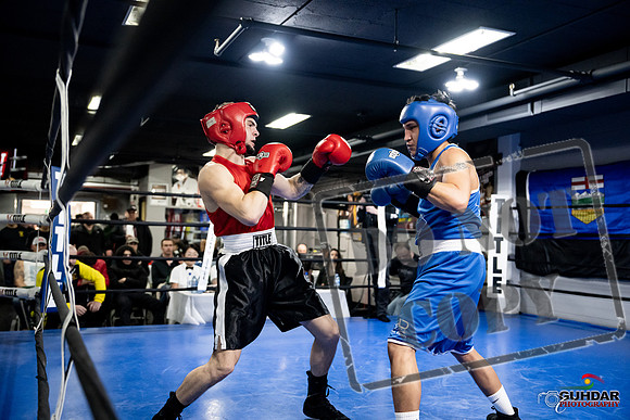 Cougar Boxing -0411