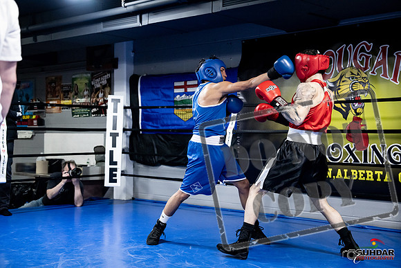 Cougar Boxing -0412