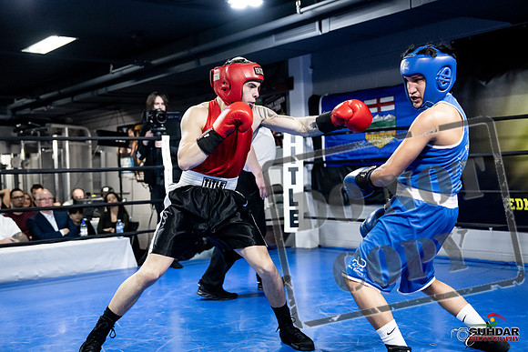 Cougar Boxing -0413