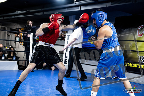 Cougar Boxing -0416