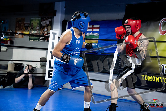Cougar Boxing -0417