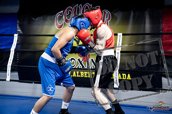 Cougar Boxing -0418