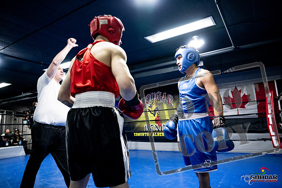 Cougar Boxing -0422