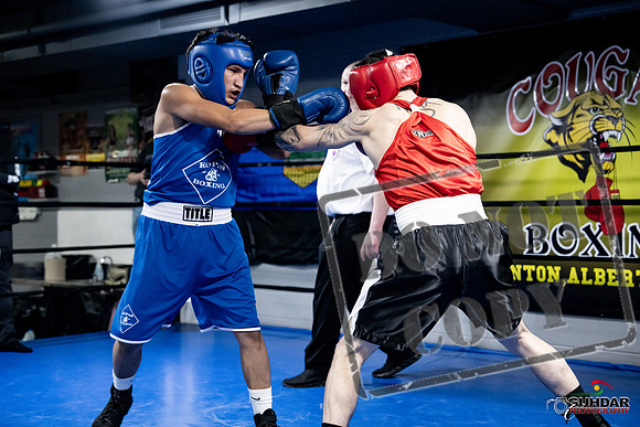 Cougar Boxing -0423