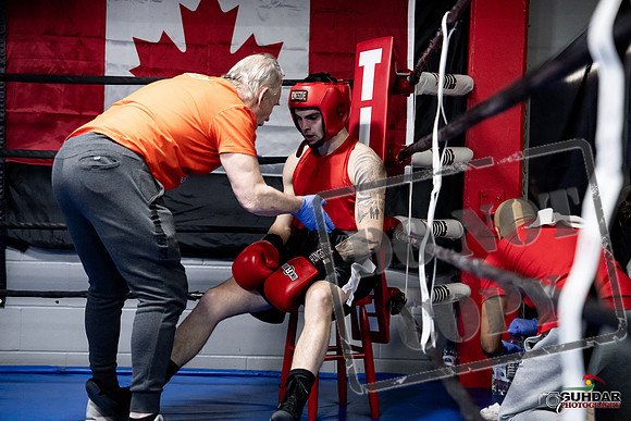 Cougar Boxing -0425