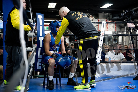 Cougar Boxing -0426