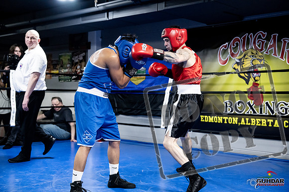 Cougar Boxing -0427