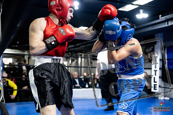 Cougar Boxing -0429