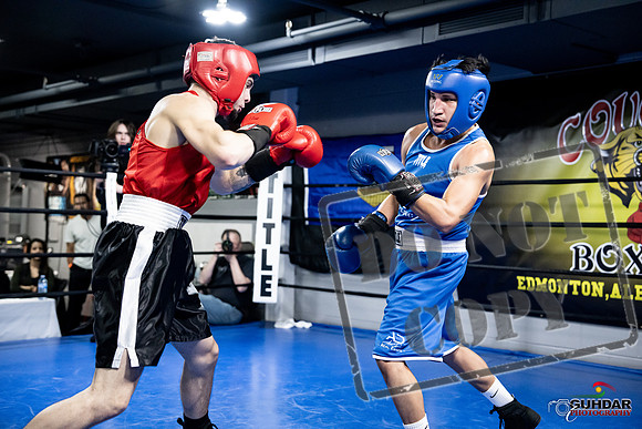 Cougar Boxing -0428