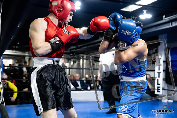 Cougar Boxing -0430