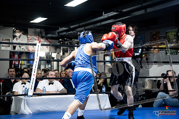 Cougar Boxing -0431