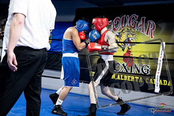 Cougar Boxing -0432