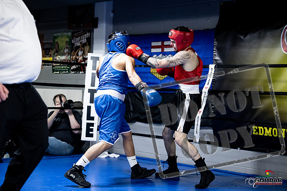 Cougar Boxing -0433