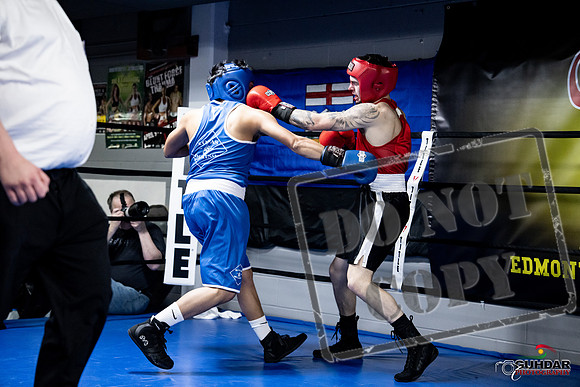 Cougar Boxing -0434