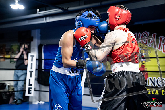 Cougar Boxing -0435