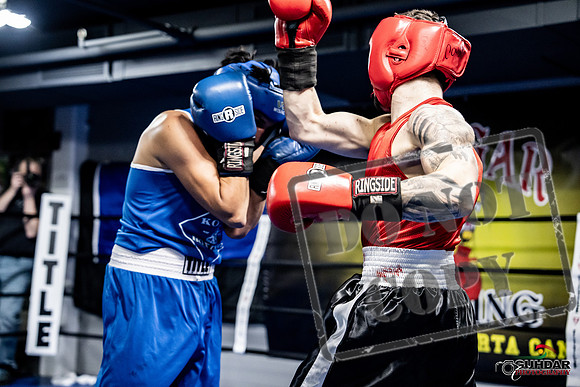 Cougar Boxing -0436