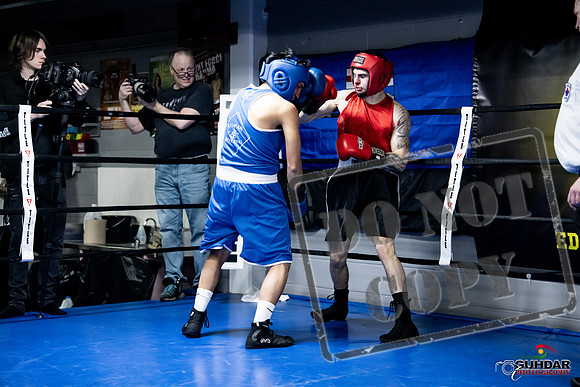 Cougar Boxing -0437