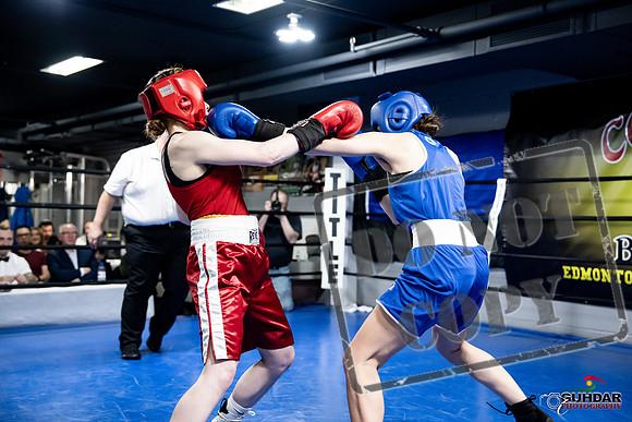 Cougar Boxing -0441