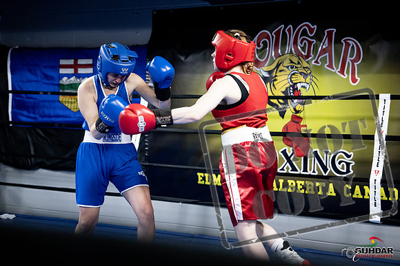 Cougar Boxing -0446