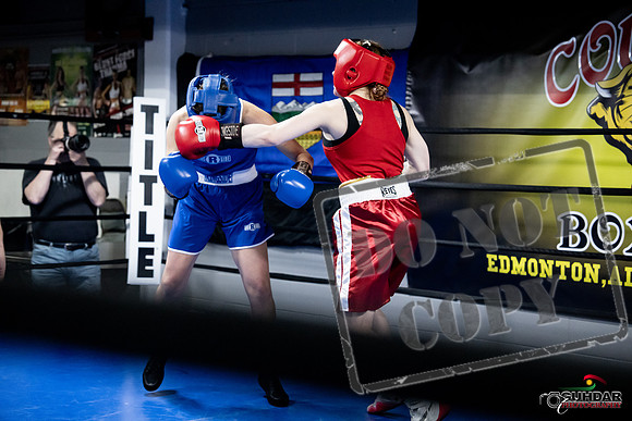 Cougar Boxing -0447