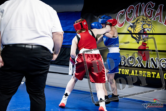 Cougar Boxing -0452
