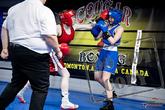 Cougar Boxing -0454
