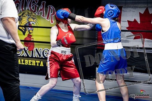 Cougar Boxing -0455