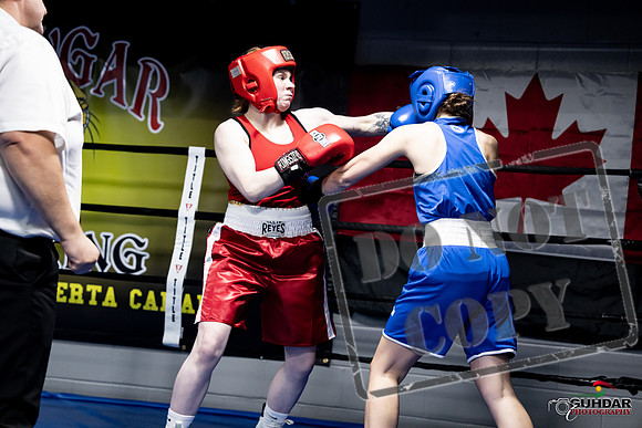 Cougar Boxing -0456