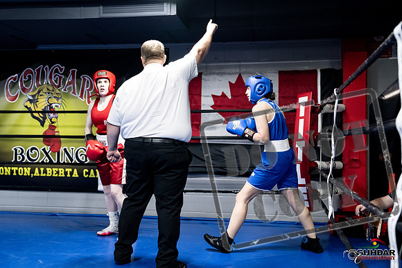 Cougar Boxing -0457