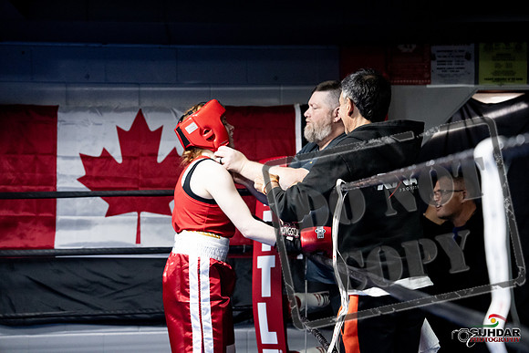 Cougar Boxing -0458