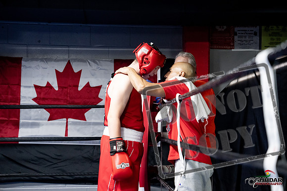 Cougar Boxing -0463