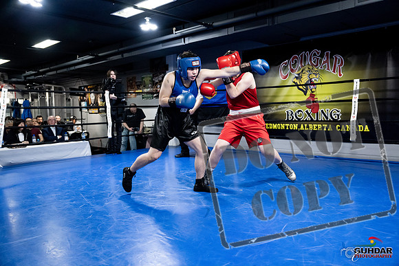 Cougar Boxing -0468