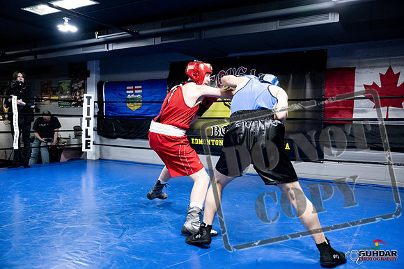 Cougar Boxing -0469