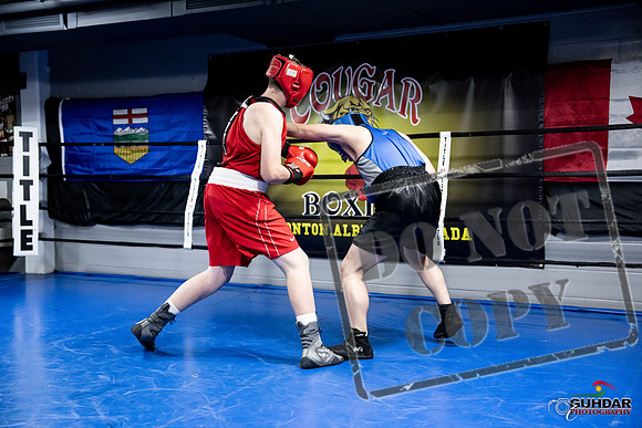 Cougar Boxing -0470