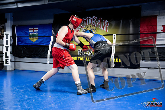Cougar Boxing -0471