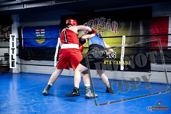 Cougar Boxing -0472
