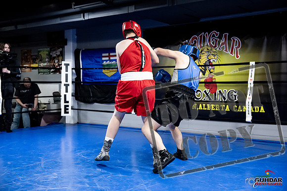 Cougar Boxing -0473