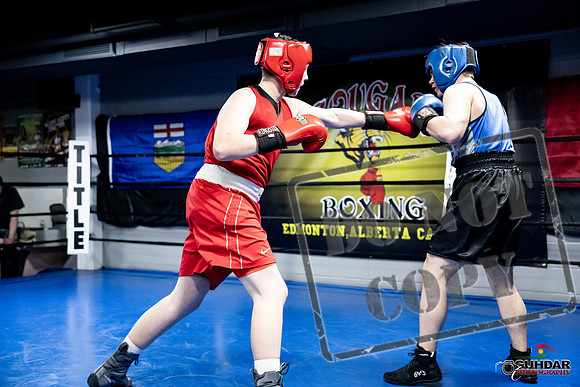 Cougar Boxing -0475