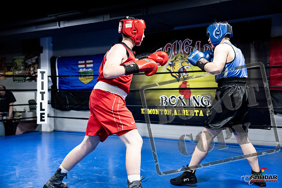 Cougar Boxing -0474