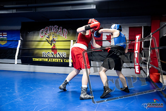 Cougar Boxing -0477