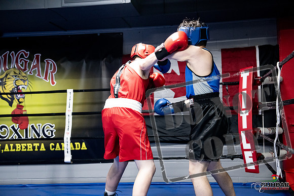 Cougar Boxing -0478