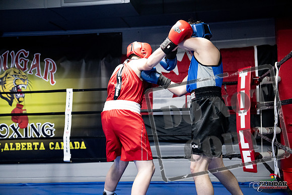 Cougar Boxing -0479