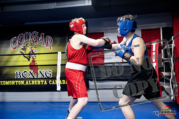 Cougar Boxing -0480