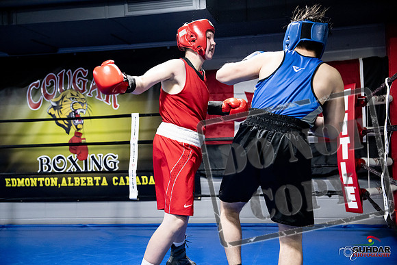 Cougar Boxing -0482