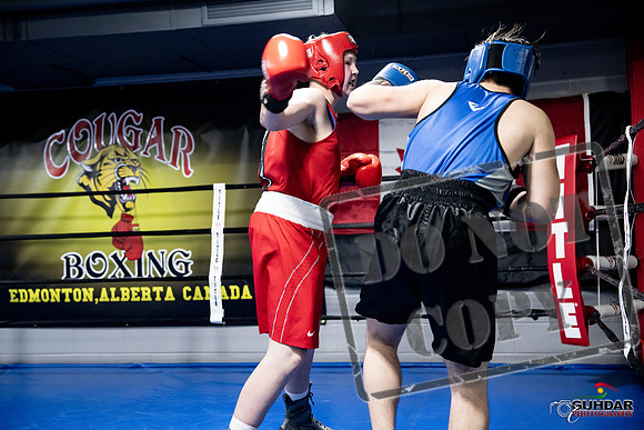 Cougar Boxing -0483
