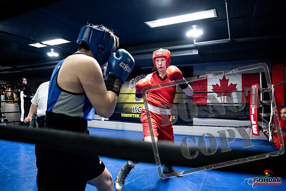 Cougar Boxing -0484